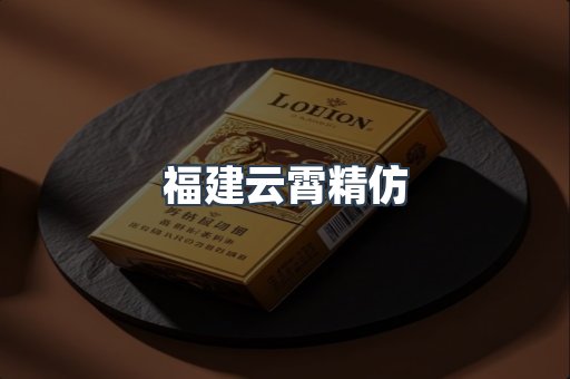 福建云霄精仿